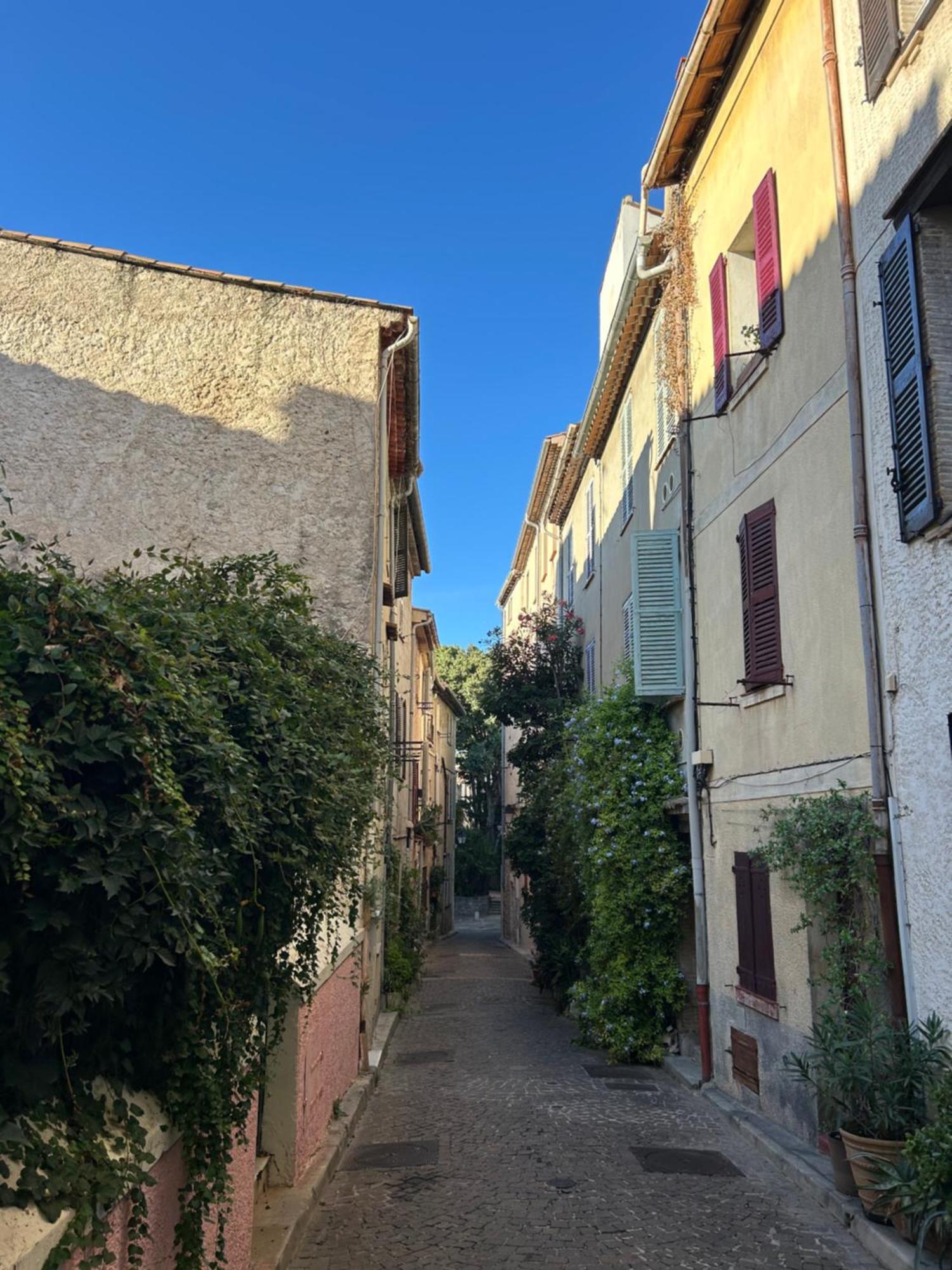 Charmant 3 Pieces Renove Au Coeur Du Vieil Antibes Buitenkant foto